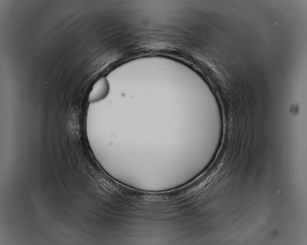 X0000099961305200806201327