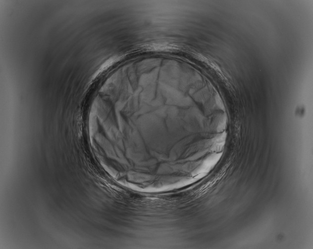 X0000099961306200806201327