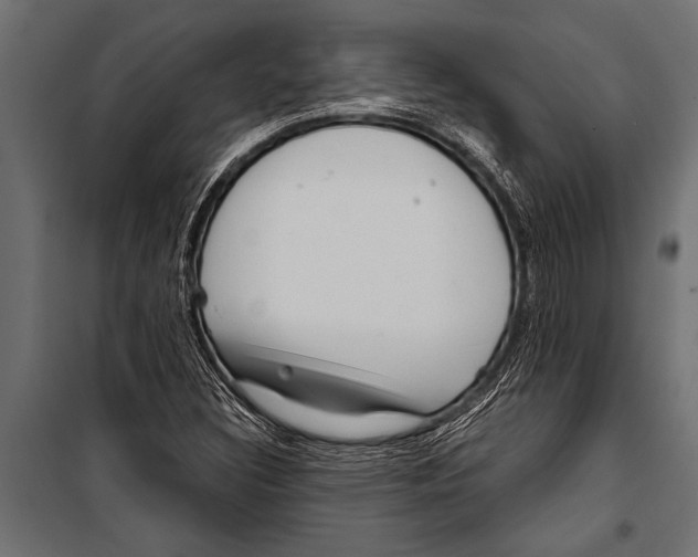 X0000099961308200806201328