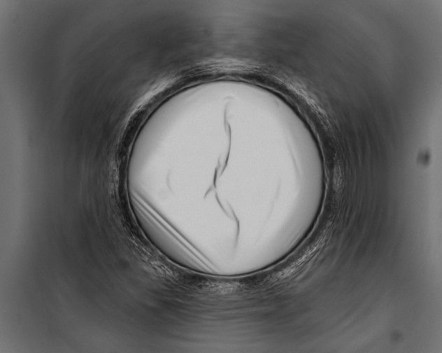 X0000099961309200806201328