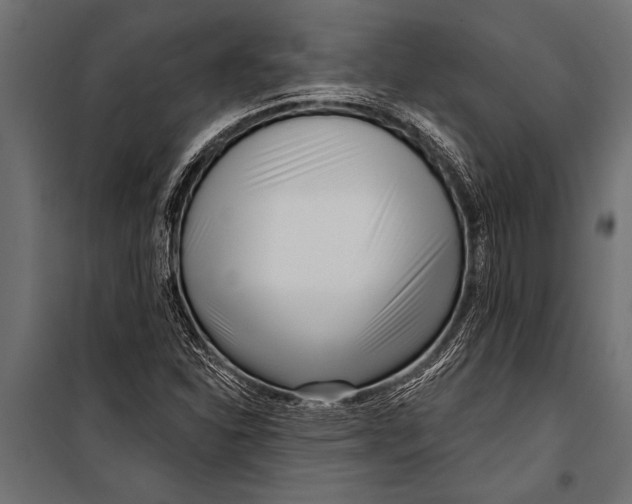 X0000099961310200806201328