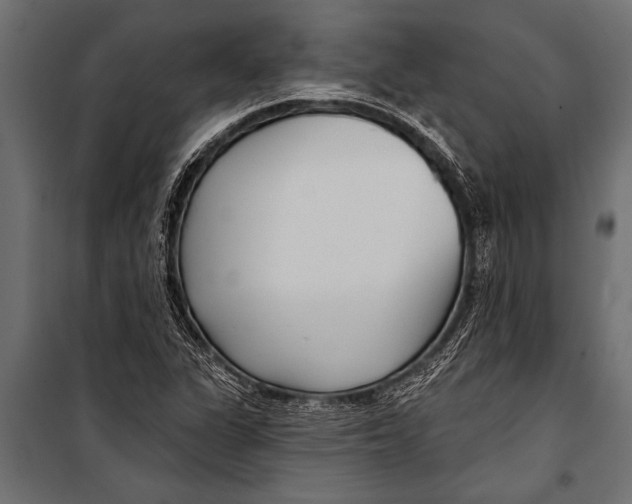 X0000099961311200806201328