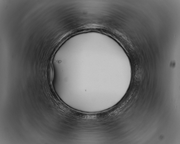 X0000099961313200806201328