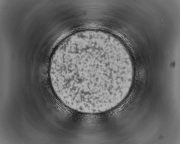 X0000099961314200806201328