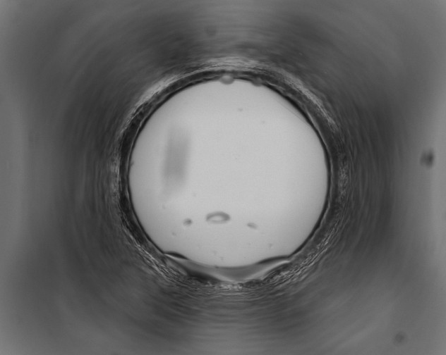 X0000099961315200806201328