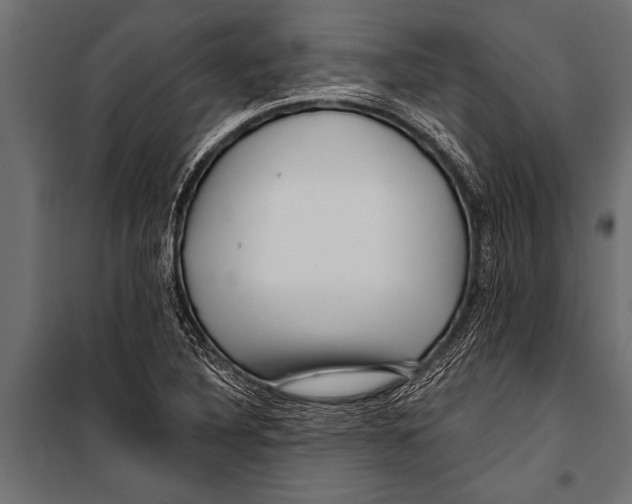 X0000099961316200806201328