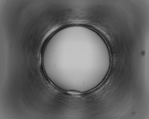 X0000099961317200806201328