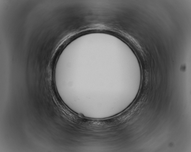 X0000099961318200806201328