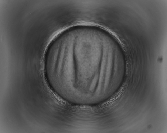 X0000099961319200806201328