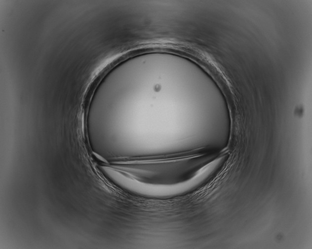 X0000099961320200806201328