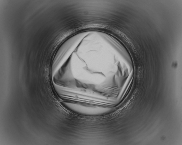 X0000099961321200806201328