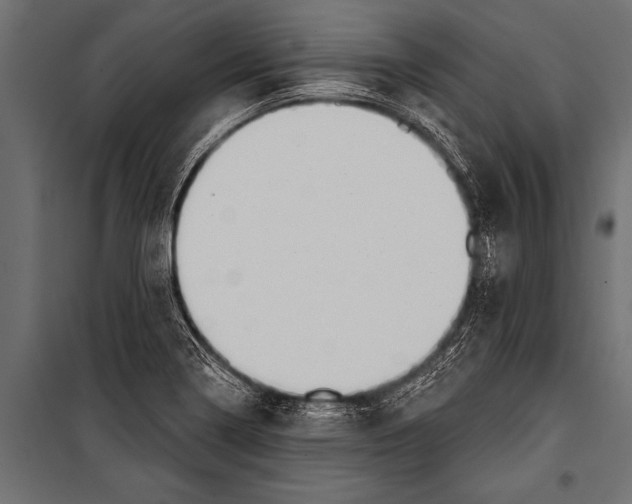 X0000099961322200806201328