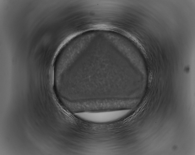 X0000099961323200806201328