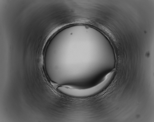 X0000099961324200806201328