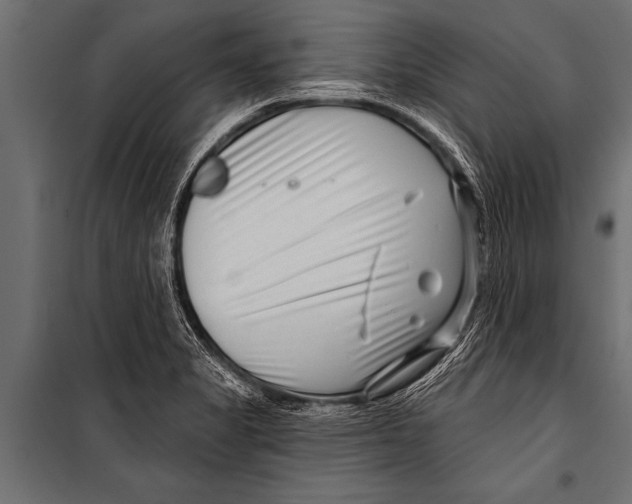 X0000099961325200806201328