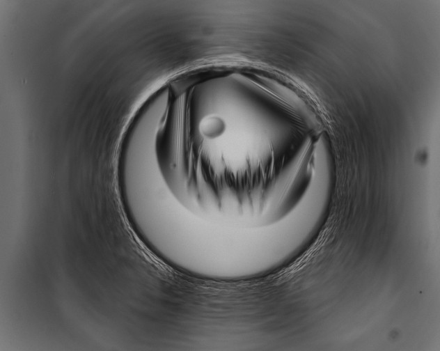 X0000099961326200806201328