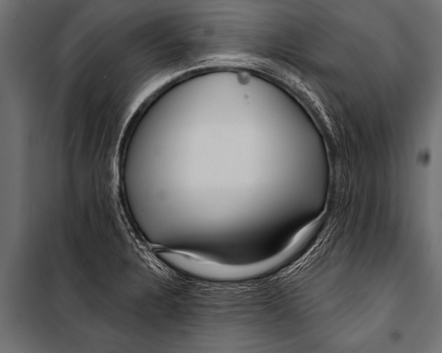 X0000099961328200806201328