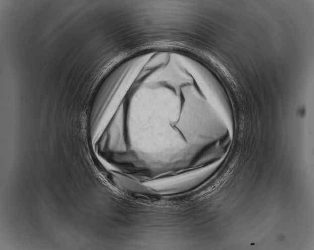 X0000099961329200806201328