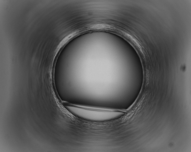 X0000099961330200806201328