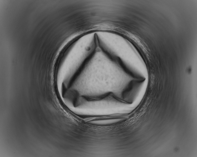 X0000099961331200806201328