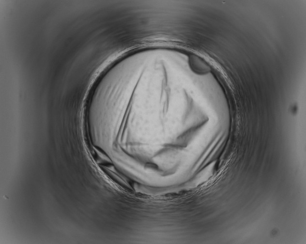 X0000099961333200806201328