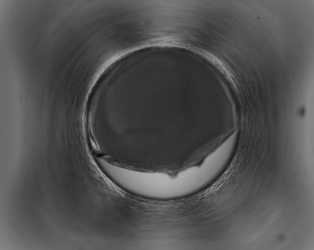 X0000099961334200806201328