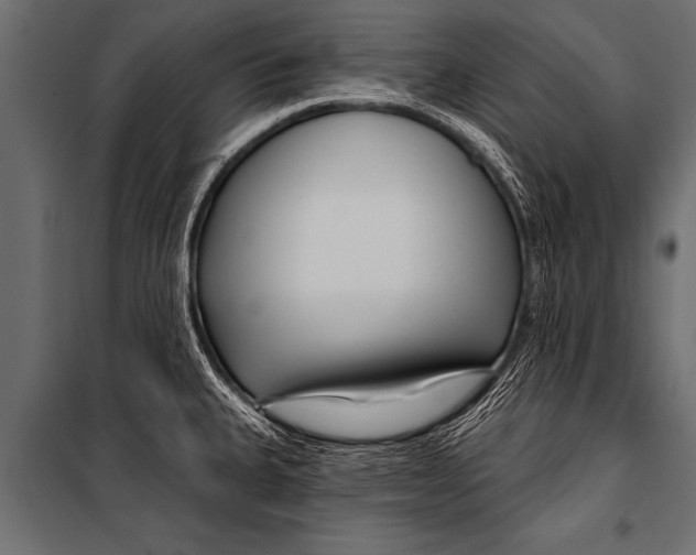 X0000099961335200806201328