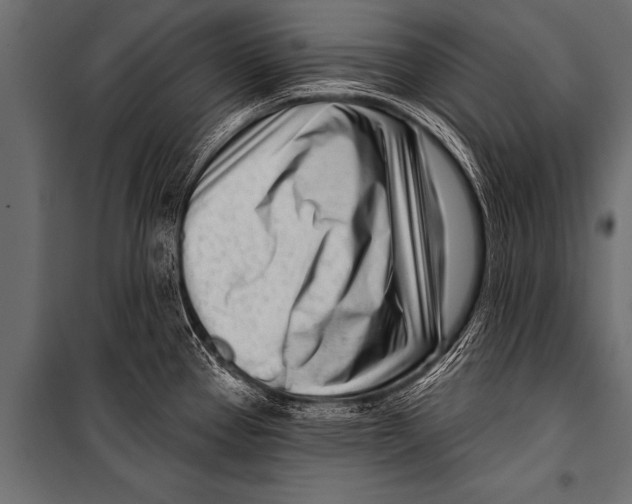 X0000099961337200806201328