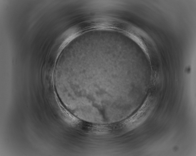 X0000099961338200806201328