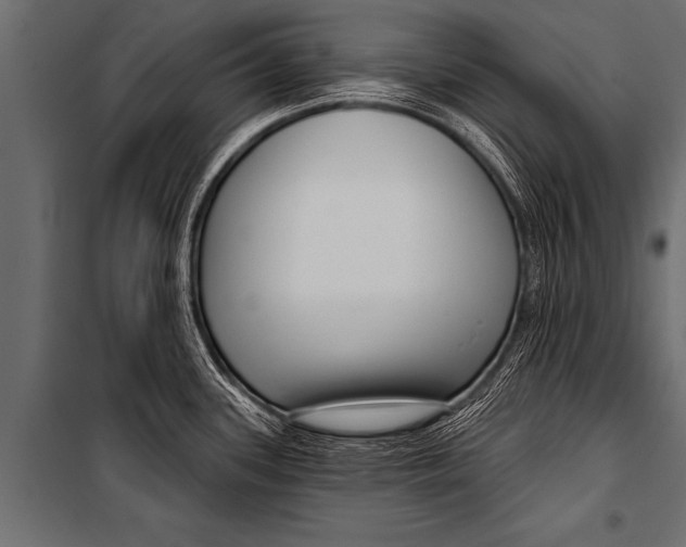 X0000099961339200806201328