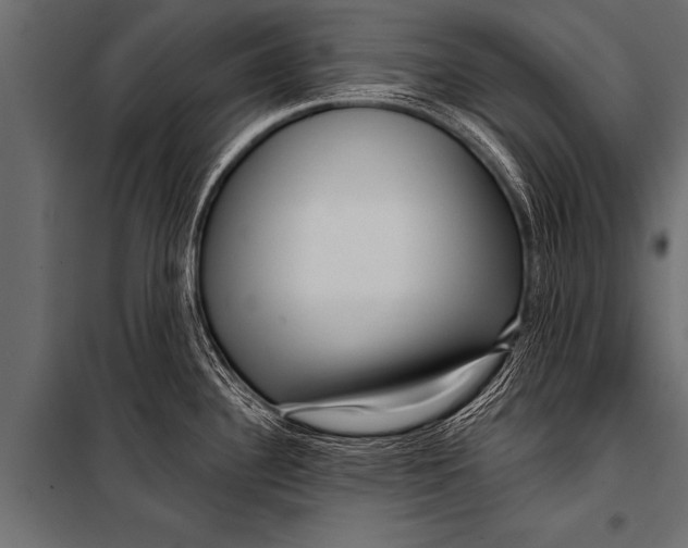 X0000099961340200806201328