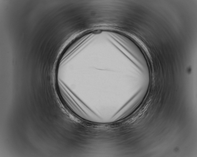 X0000099961341200806201328