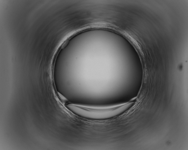 X0000099961342200806201328