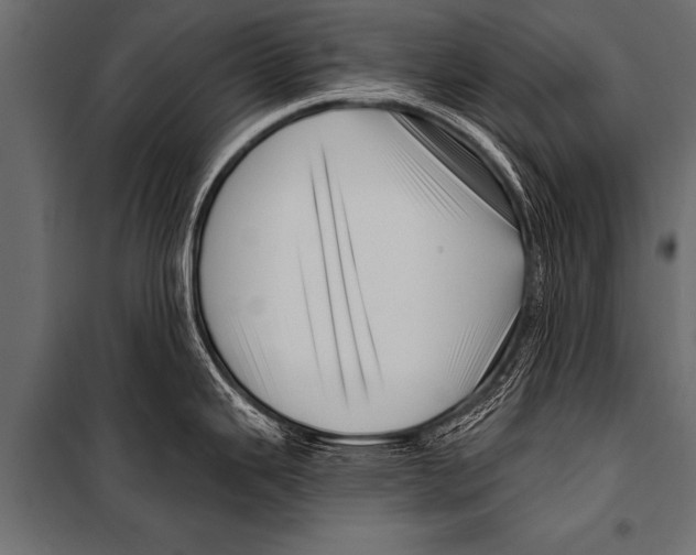 X0000099961343200806201328