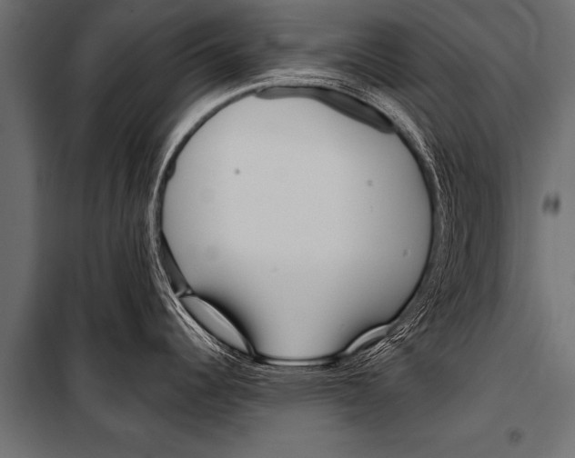 X0000099961344200806201328