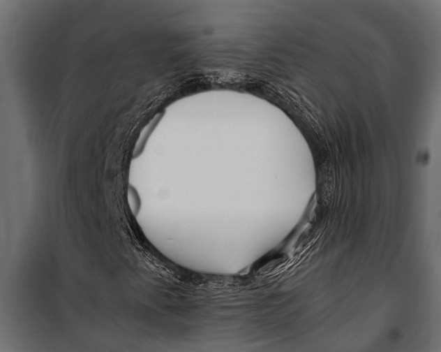 X0000099961345200806201327