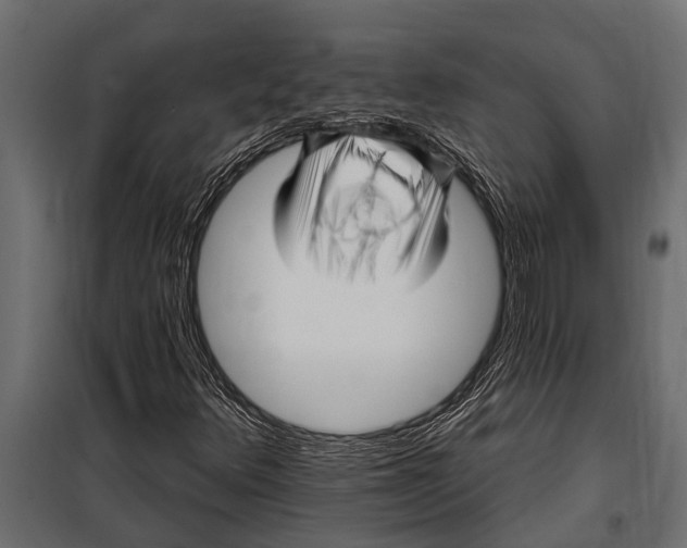 X0000099961348200806201327