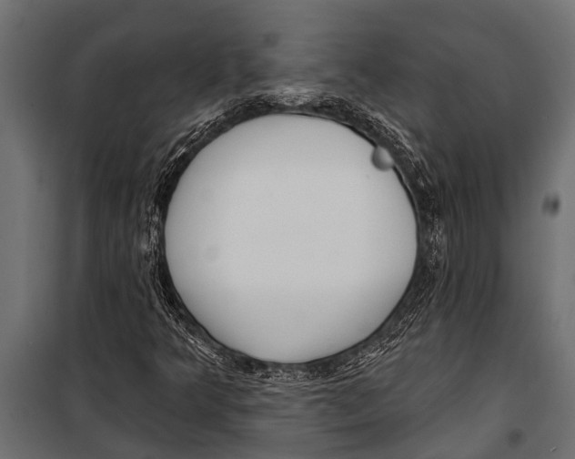 X0000099961349200806201327