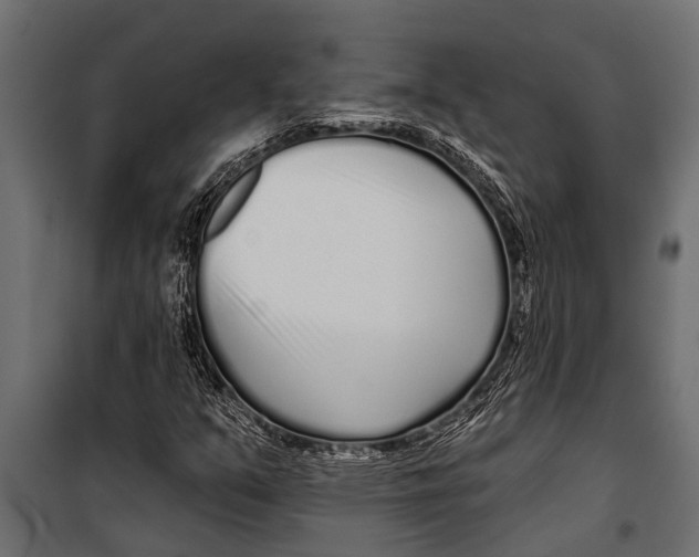 X0000099961351200806201327