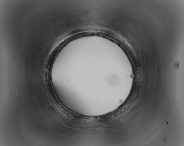 X0000099961352200806201327