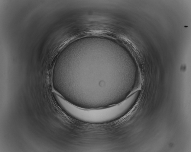 X0000099961353200806201327