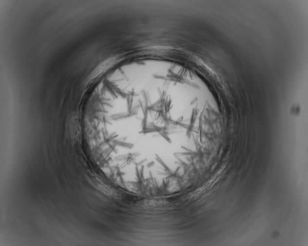 X0000099961354200806201327