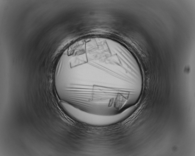 X0000099961355200806201327