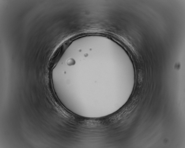 X0000099961356200806201327