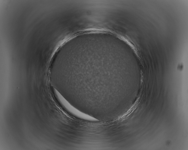 X0000099961357200806201327