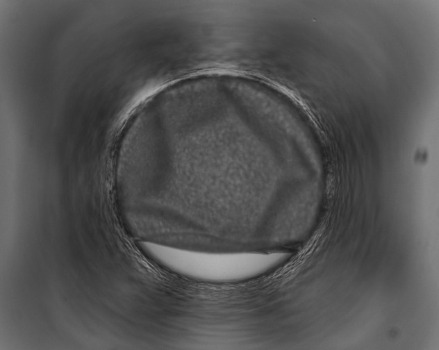 X0000099961359200806201327