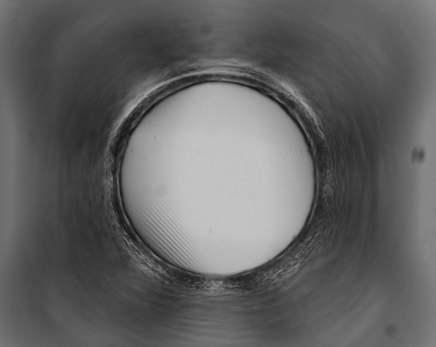 X0000099961360200806201327