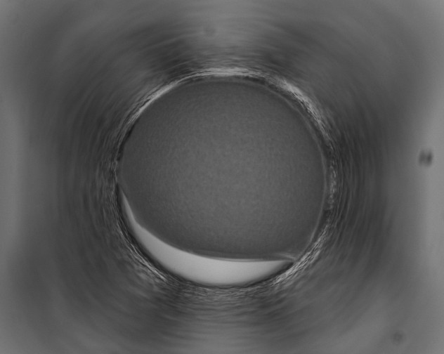 X0000099961361200806201327