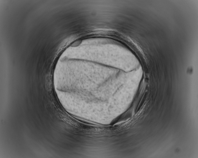 X0000099961362200806201327