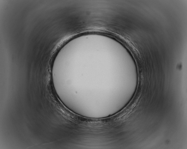 X0000099961363200806201327